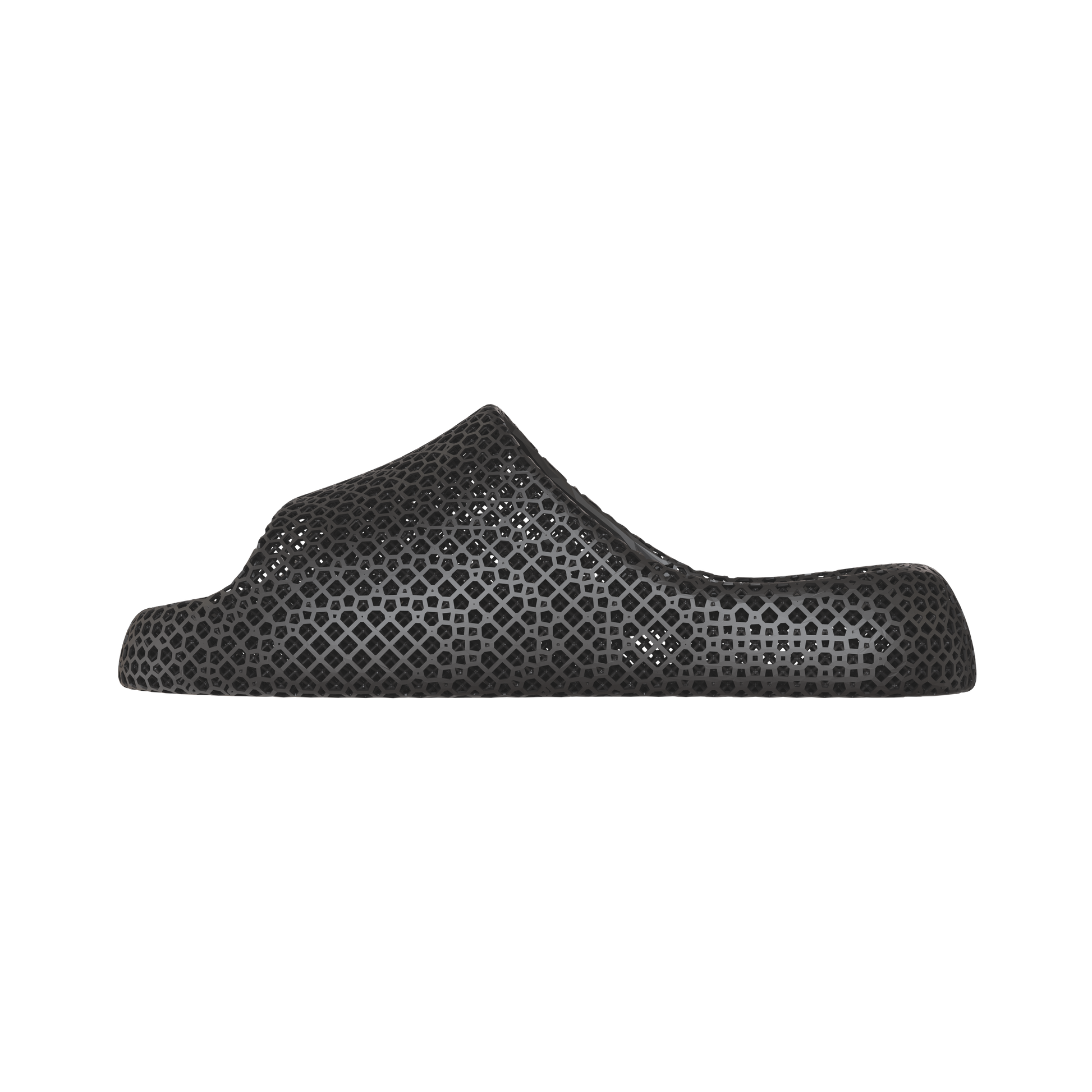 Dolphin Black 1