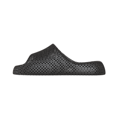 Dolphin Black 1