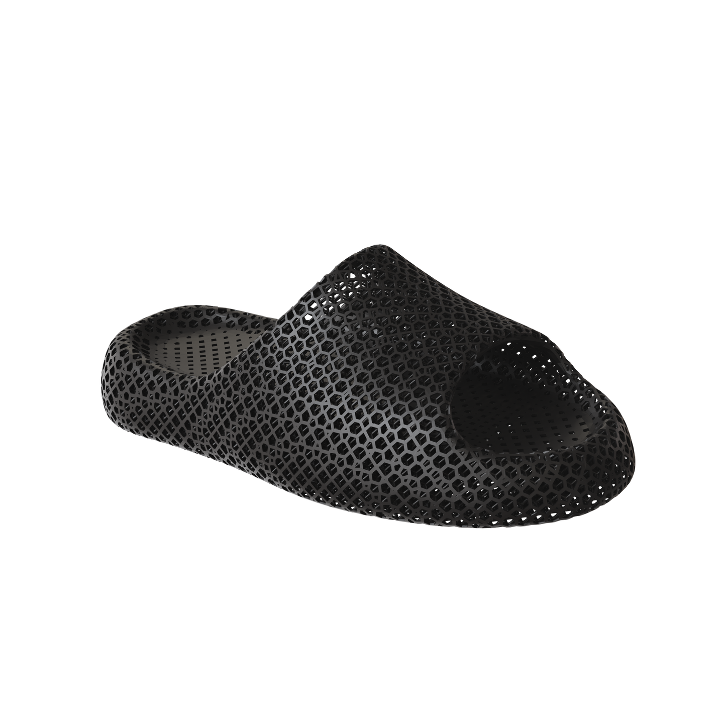 Dolphin Black 2
