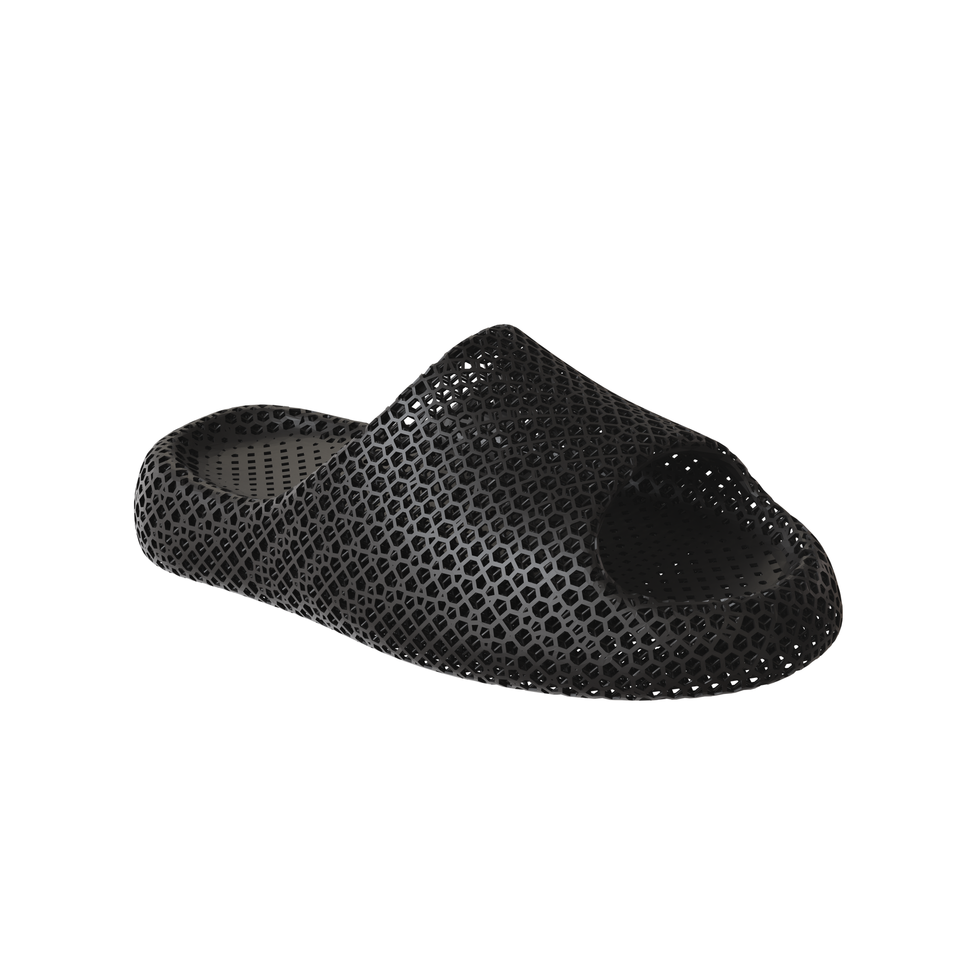 Dolphin Black 2