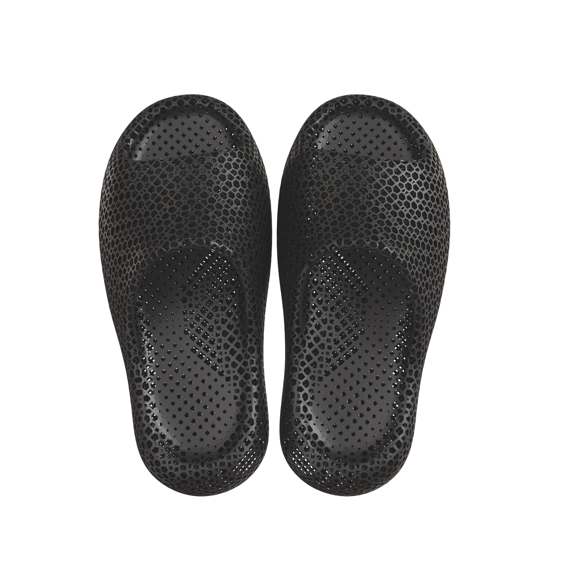 Dolphin Black 3