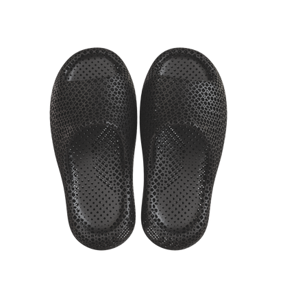 Dolphin Black 3