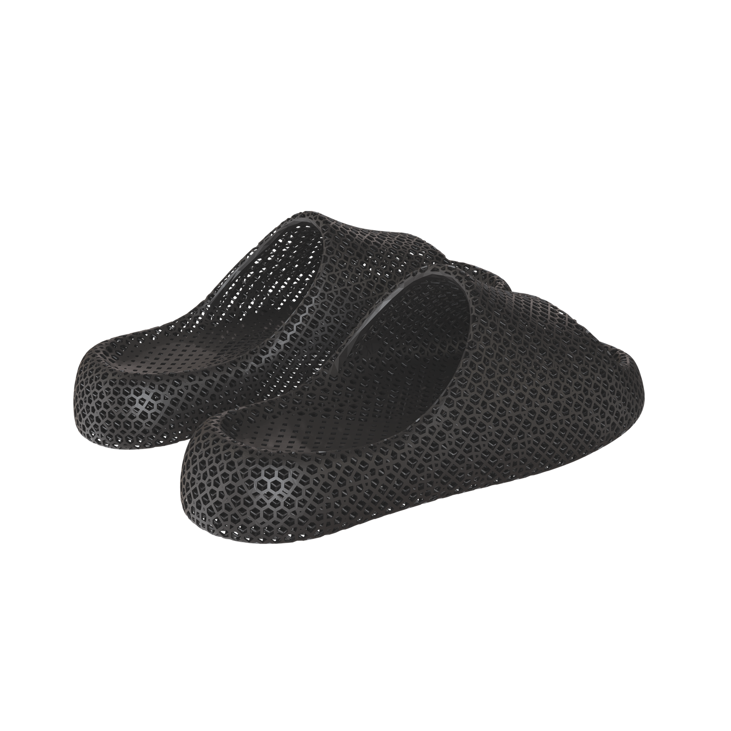 Dolphin Black 4