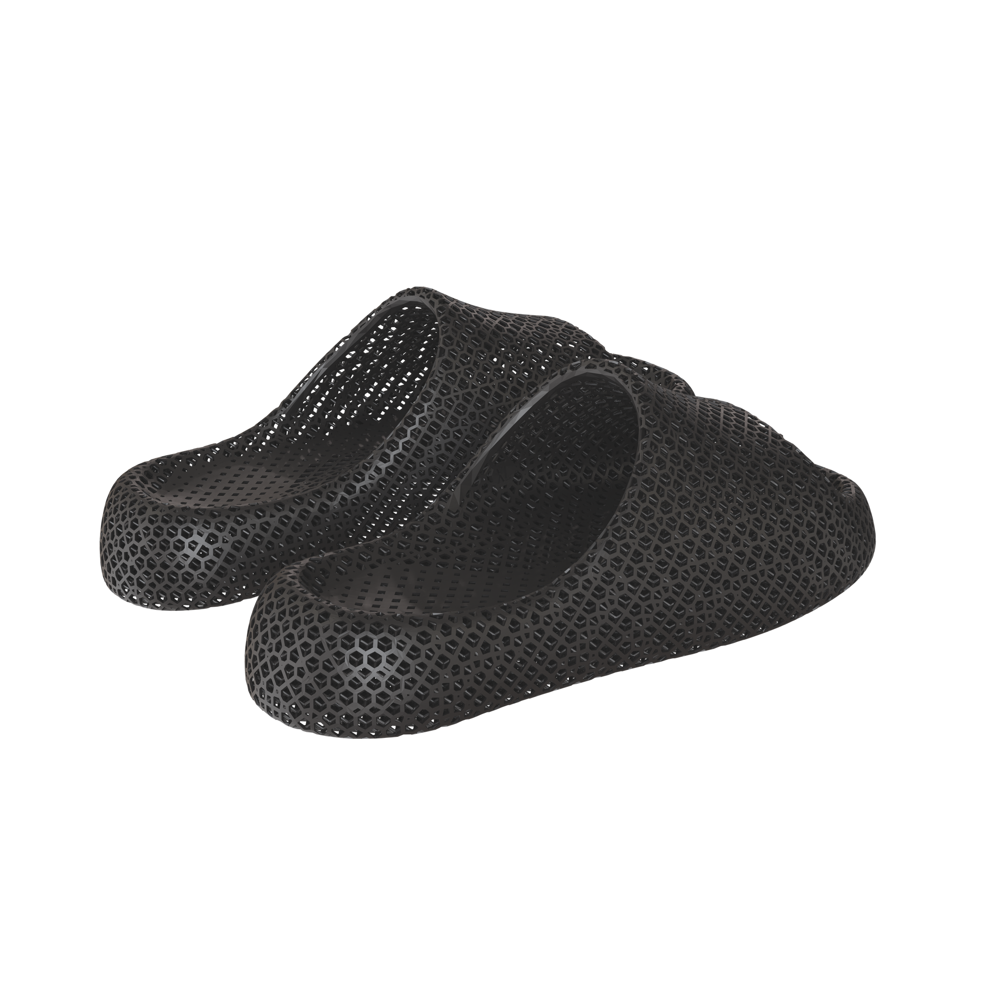Dolphin Black 4