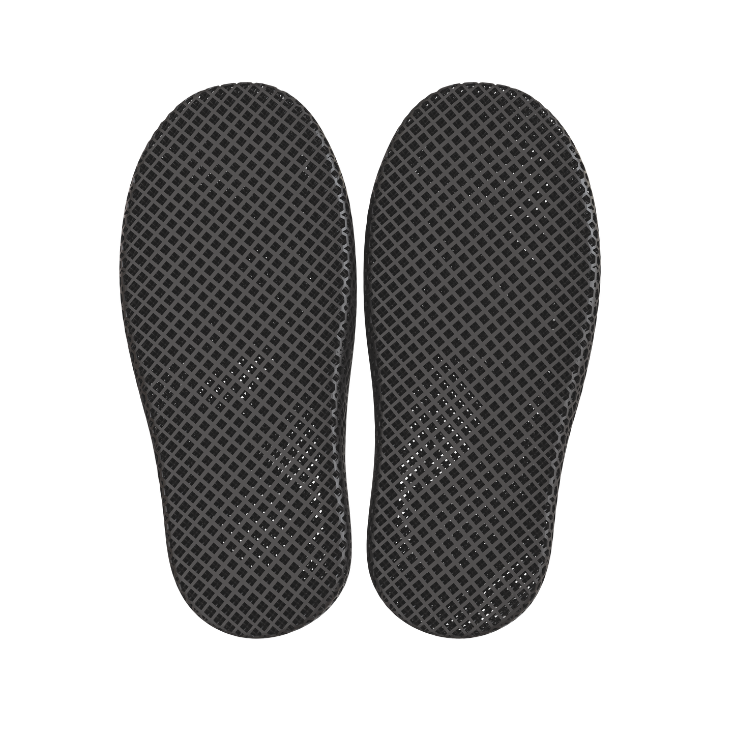 Dolphin Black 5