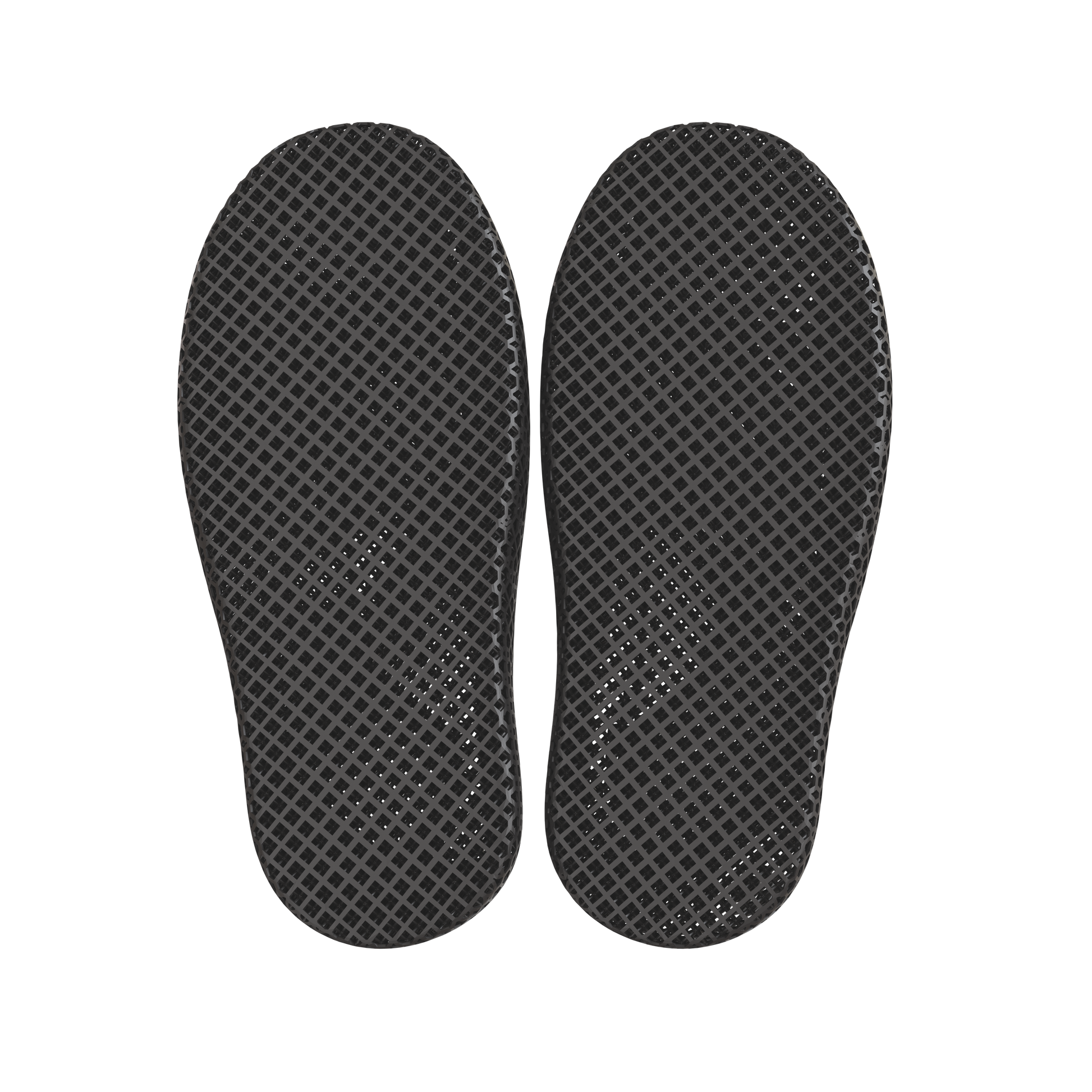 Dolphin Black 5