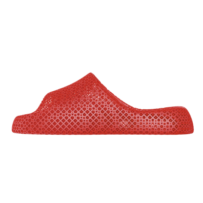 Dolphin Red 1