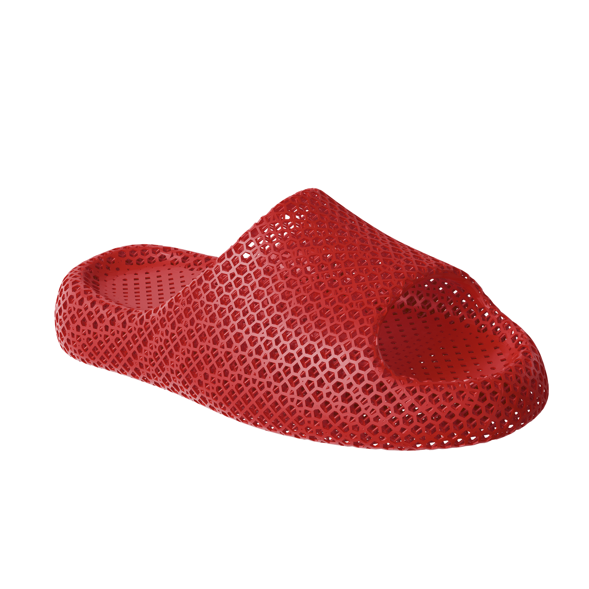 Dolphin Red 2