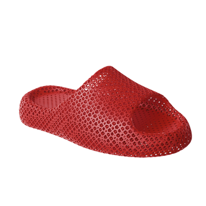Dolphin Red 2