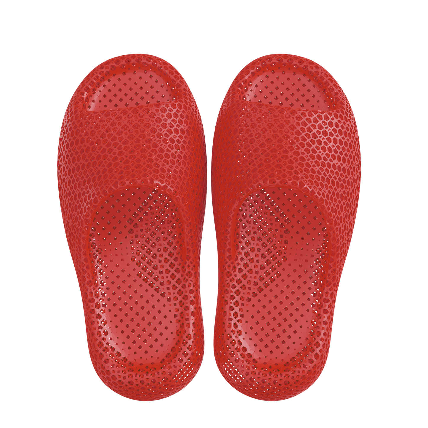 Dolphin Red 3