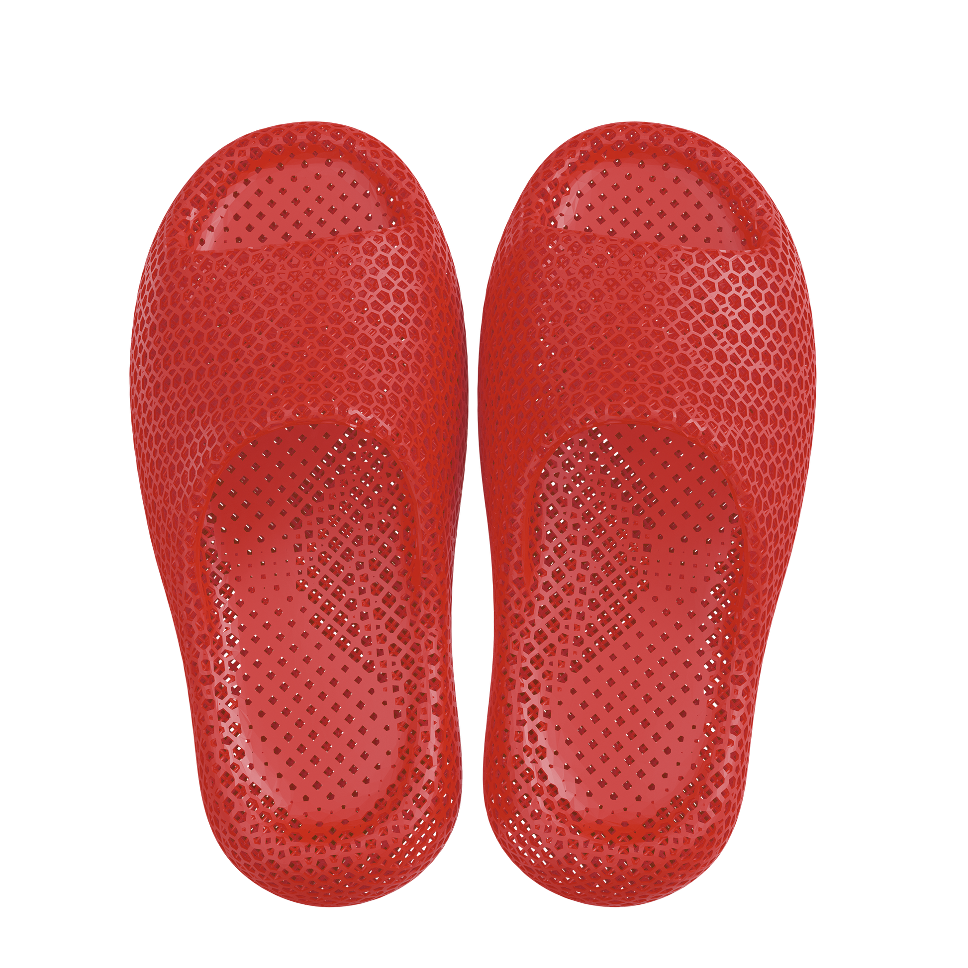 Dolphin Red 3