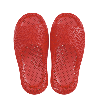 Dolphin Red 3