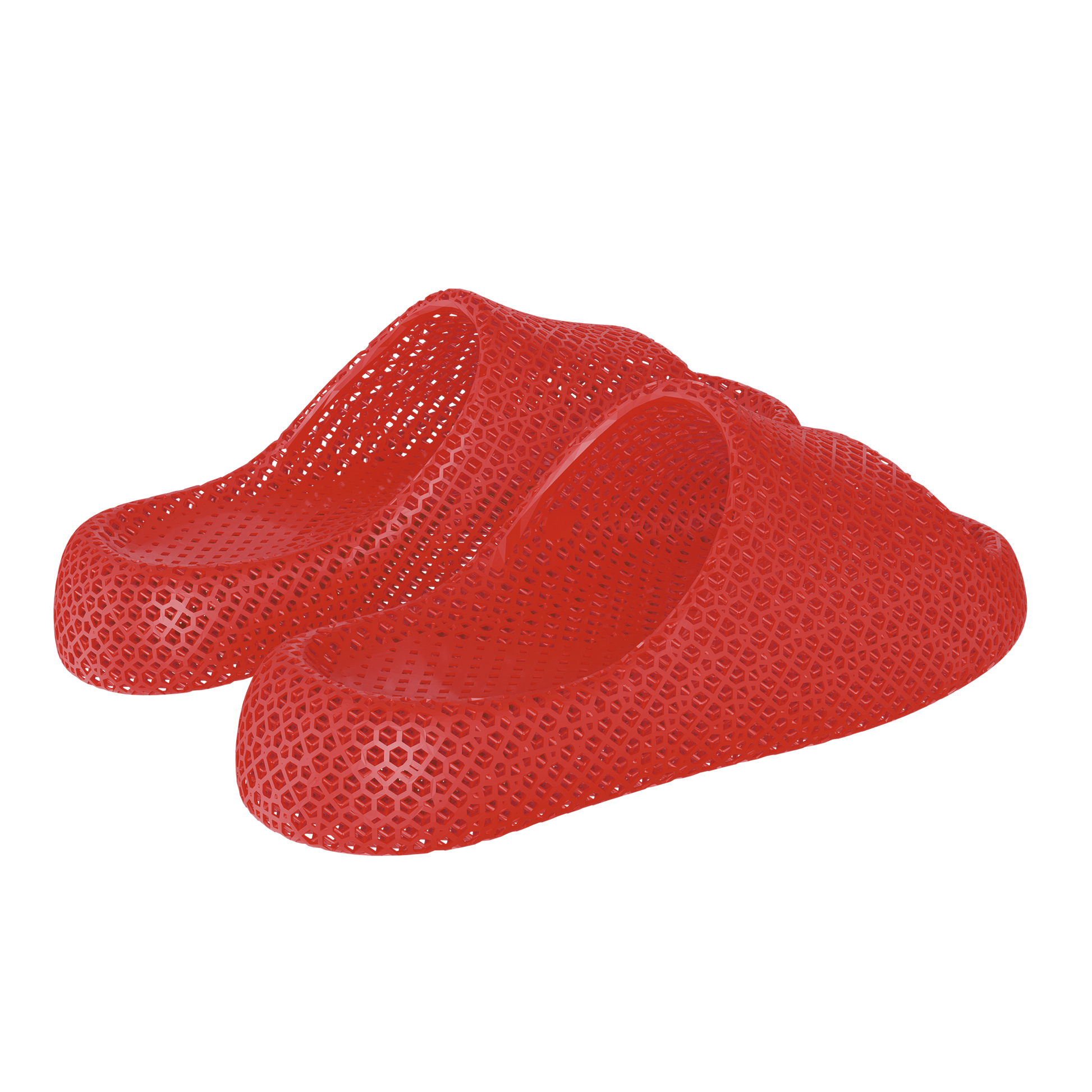 Dolphin Red 4
