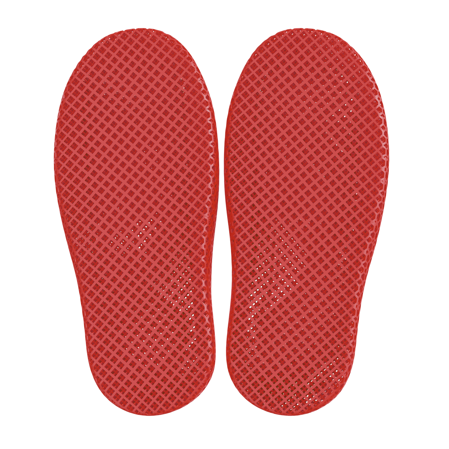 Dolphin Red 5
