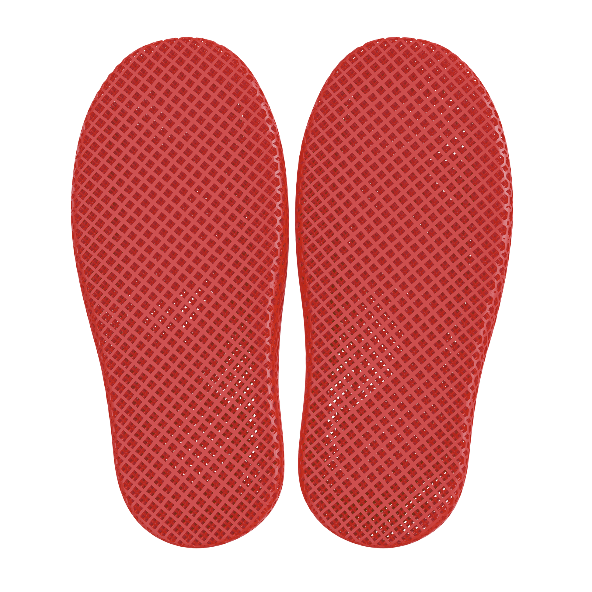 Dolphin Red 5