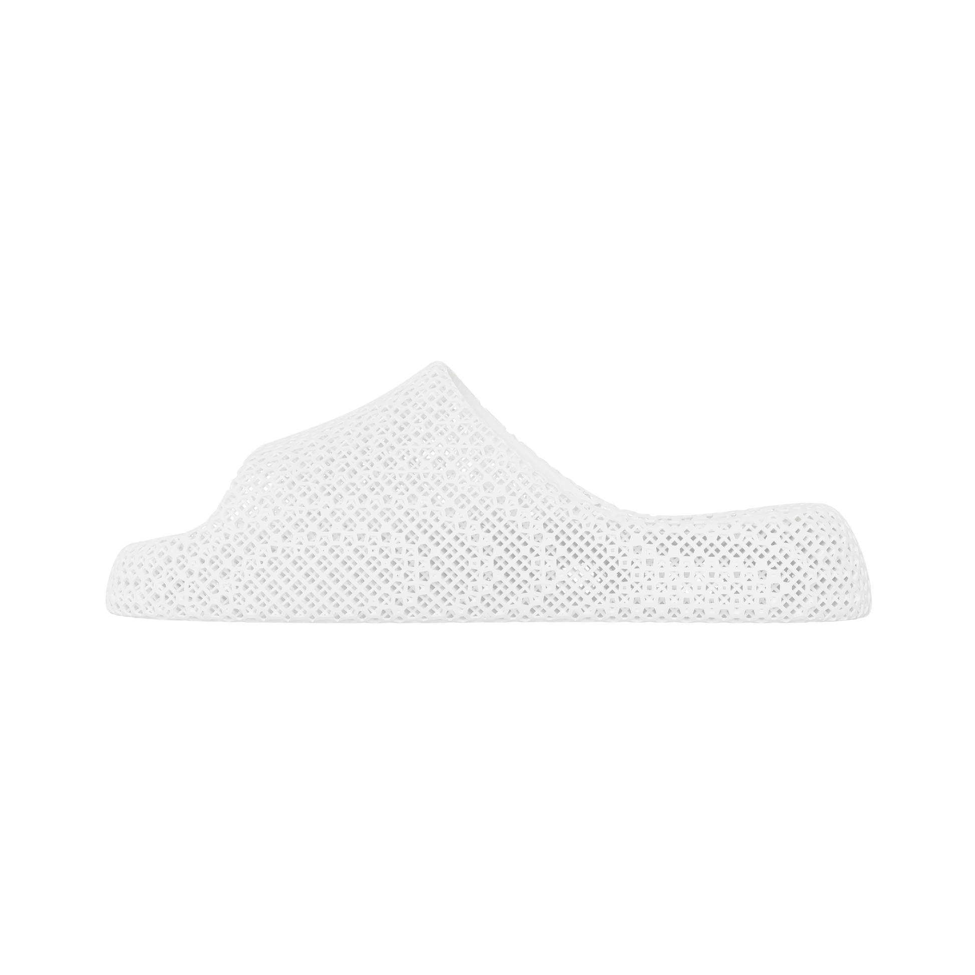 Dolphin White 1