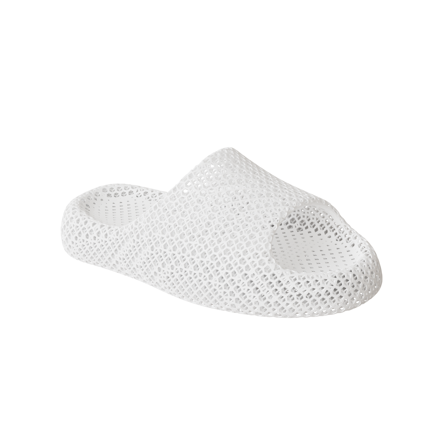 Dolphin White 2