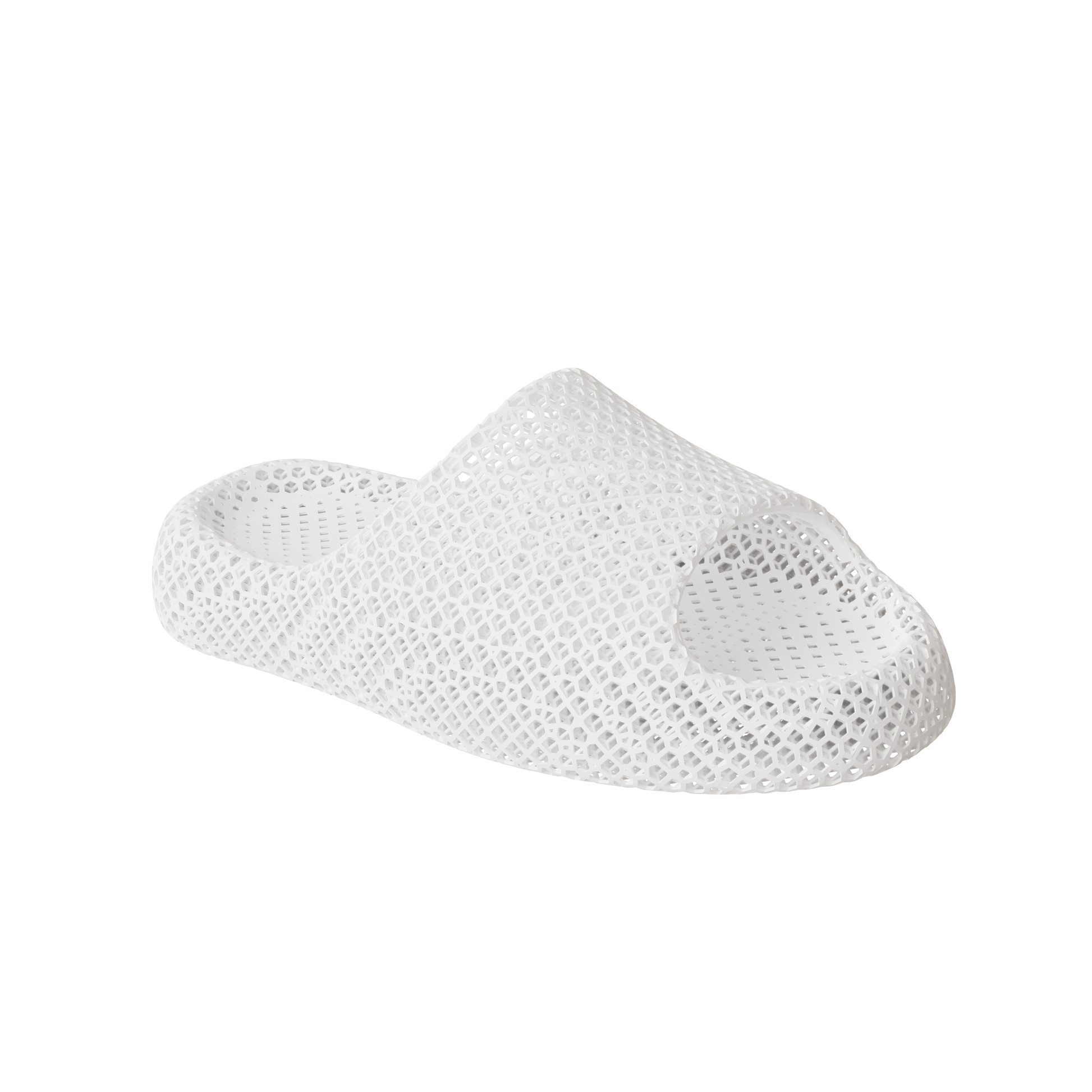 Dolphin White 2