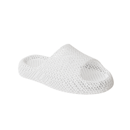 Dolphin White 2