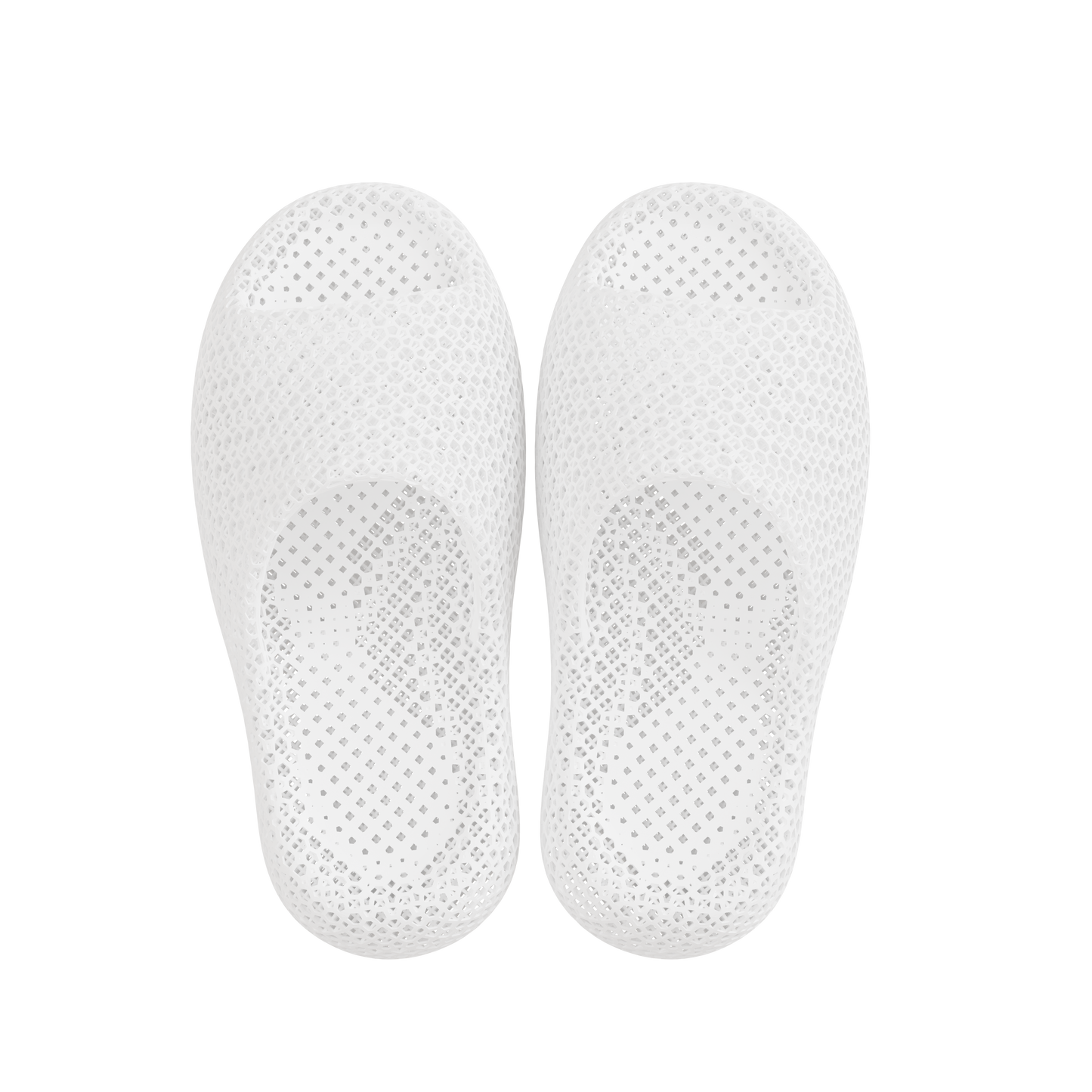 Dolphin White 3