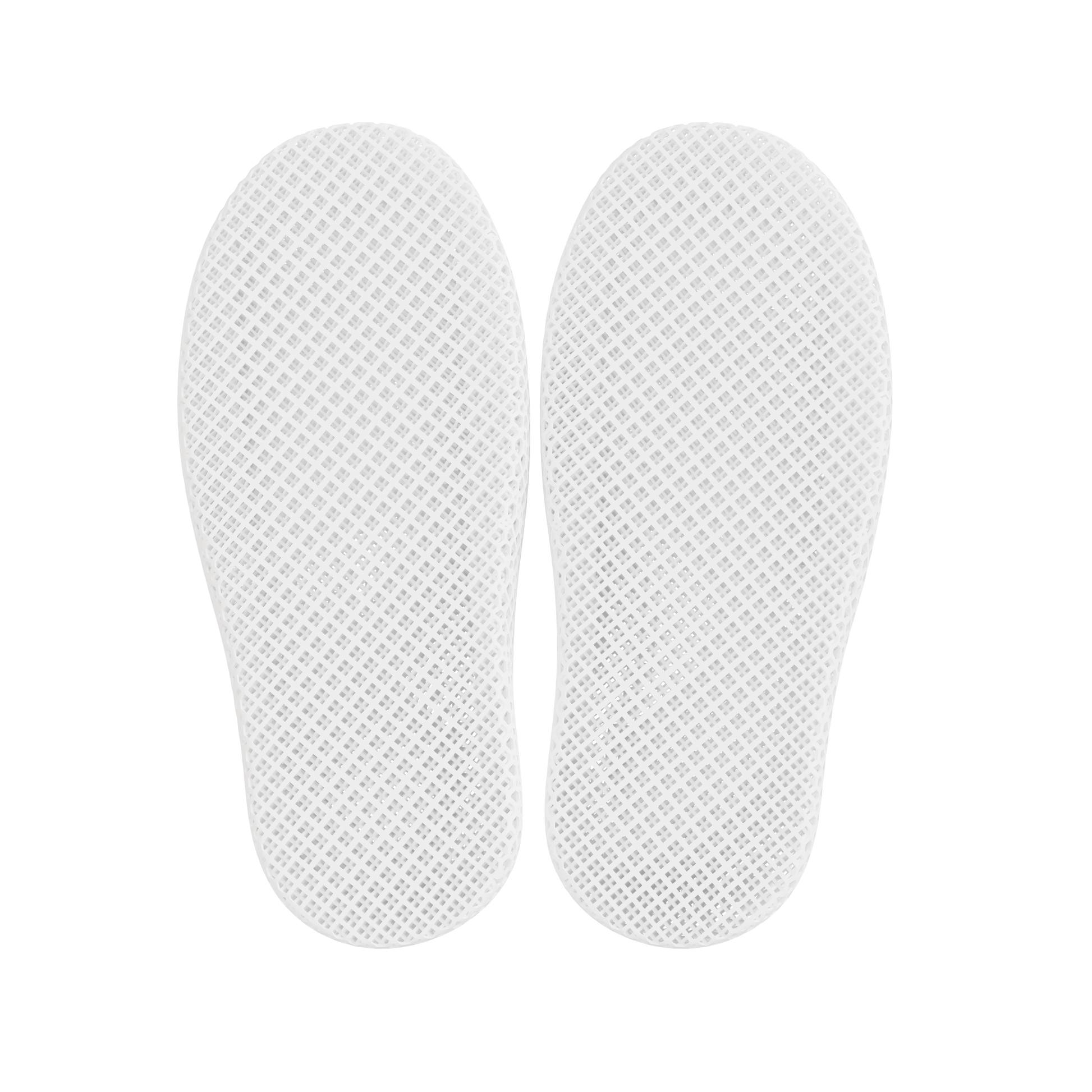 Dolphin White 5