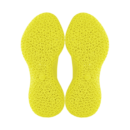 Flex_YL_6